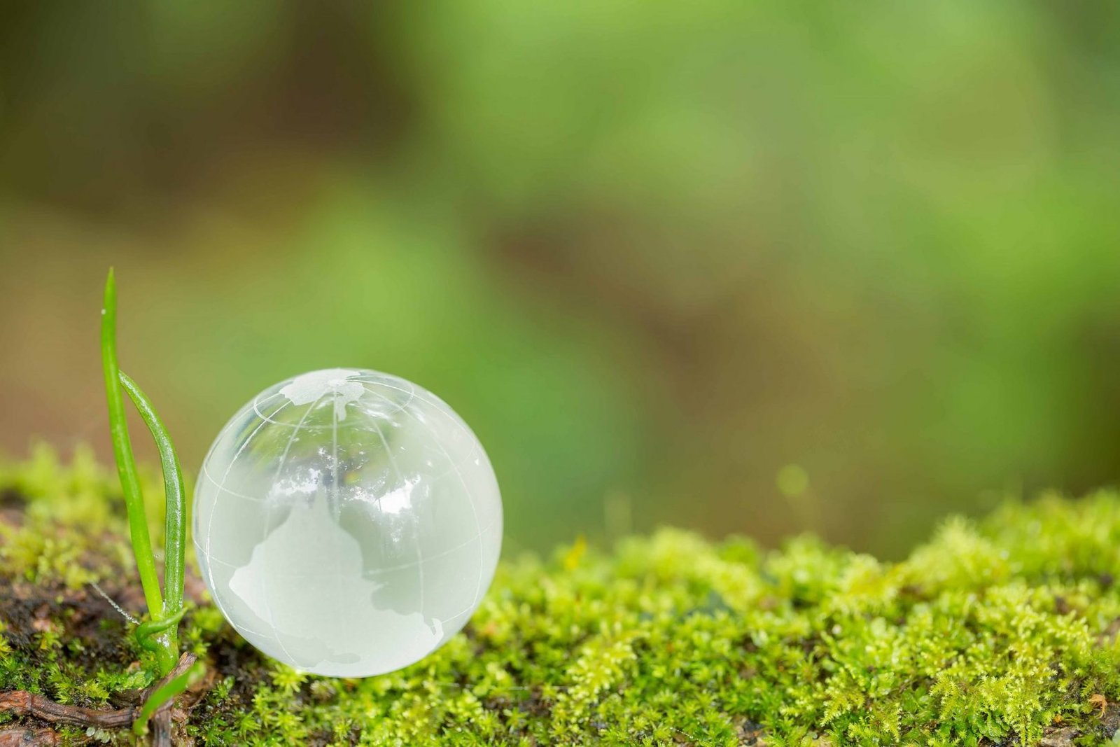 Close up of glass globe in the forest. Environment conservation concept.